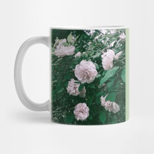 SEARCH FOR CHARMING ROSES Mug